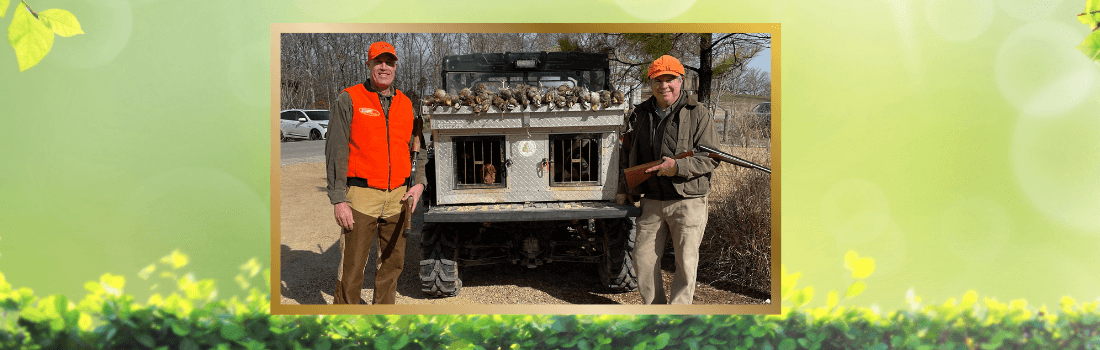 Early Morning Quail Hunting